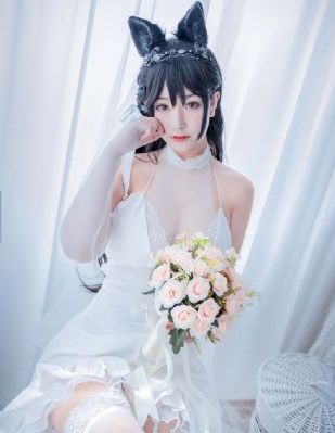 斗罗大陆樱花视频