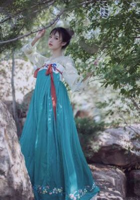 欧美视频www